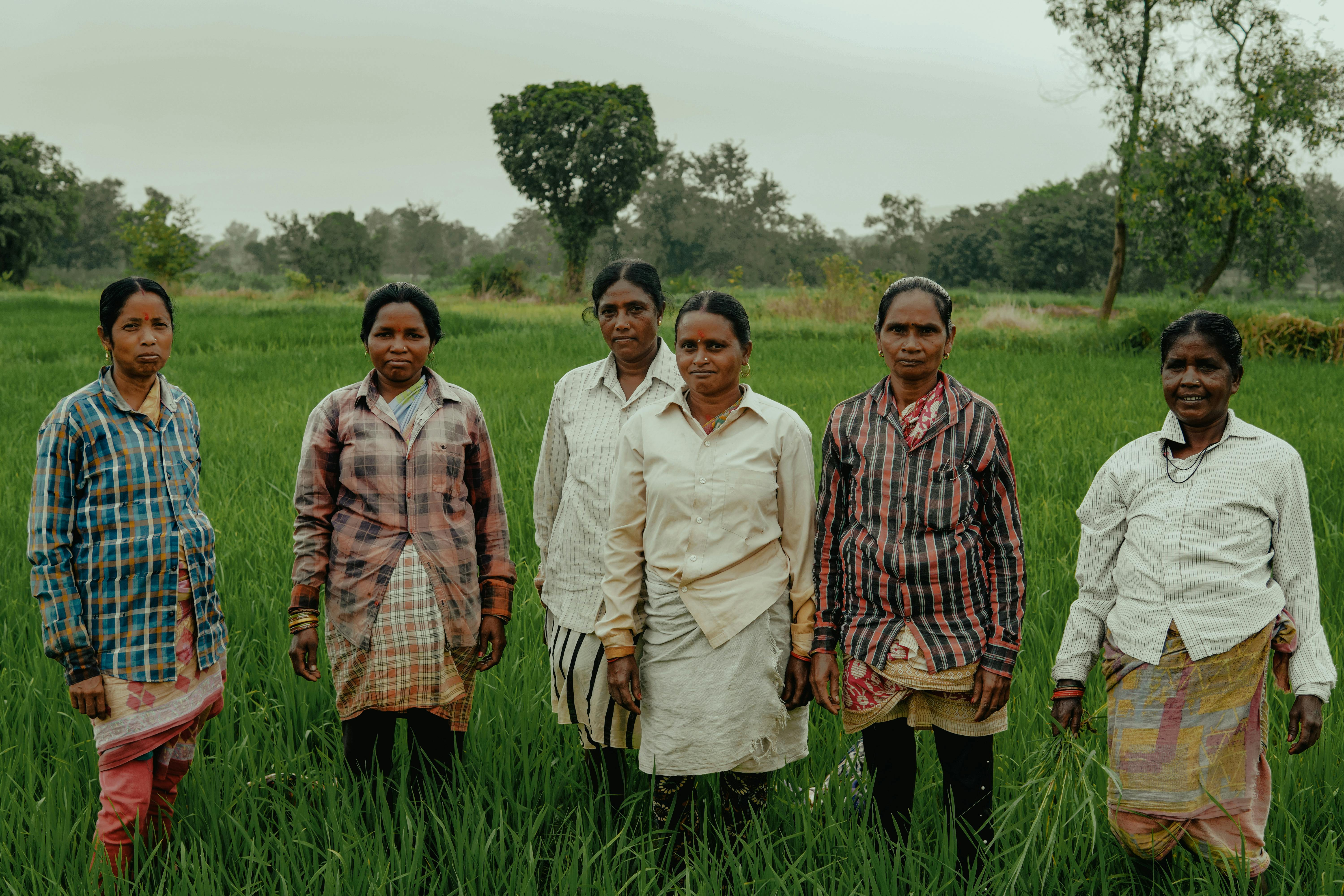 Tridifa Field Work