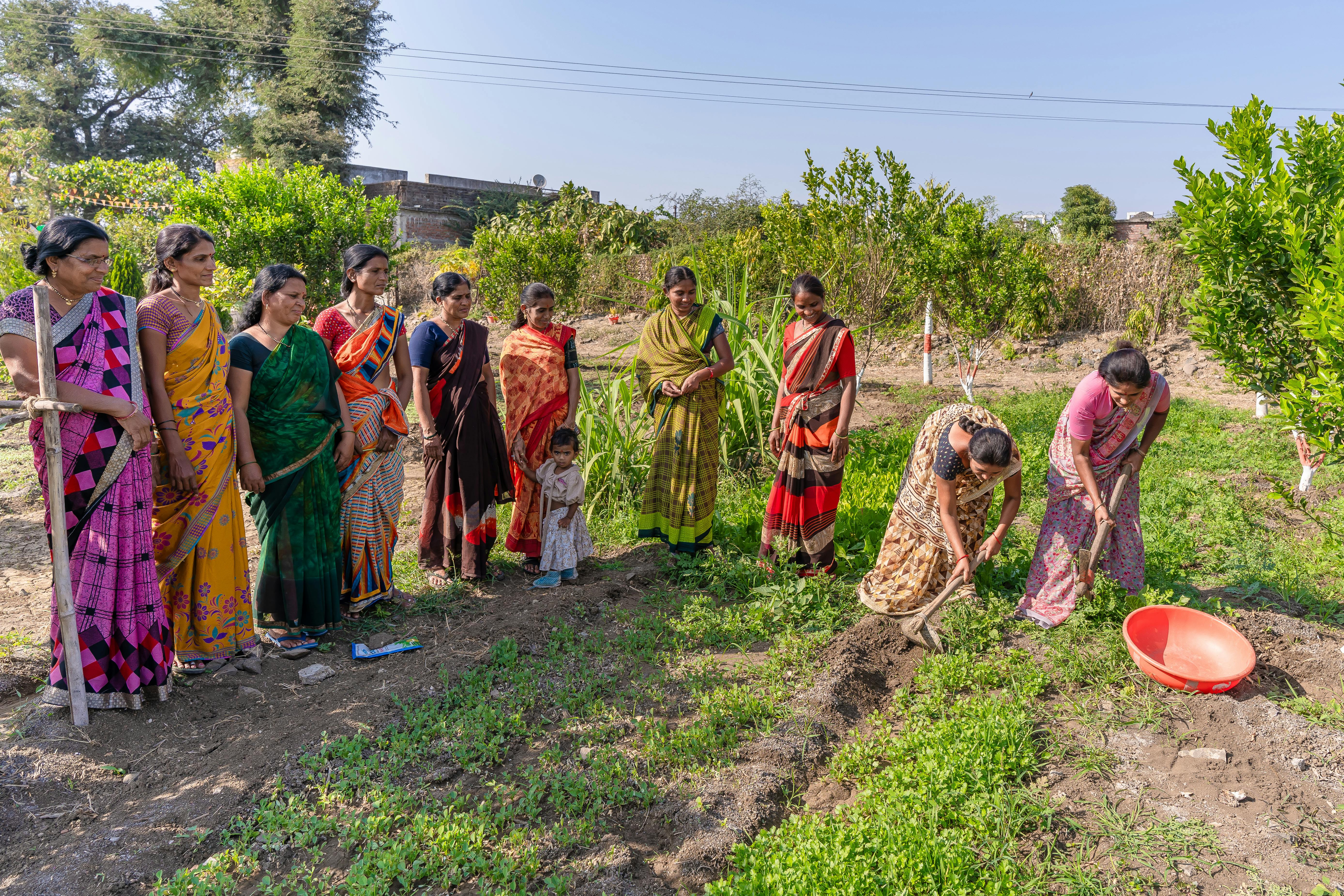 Tridifa Field Work