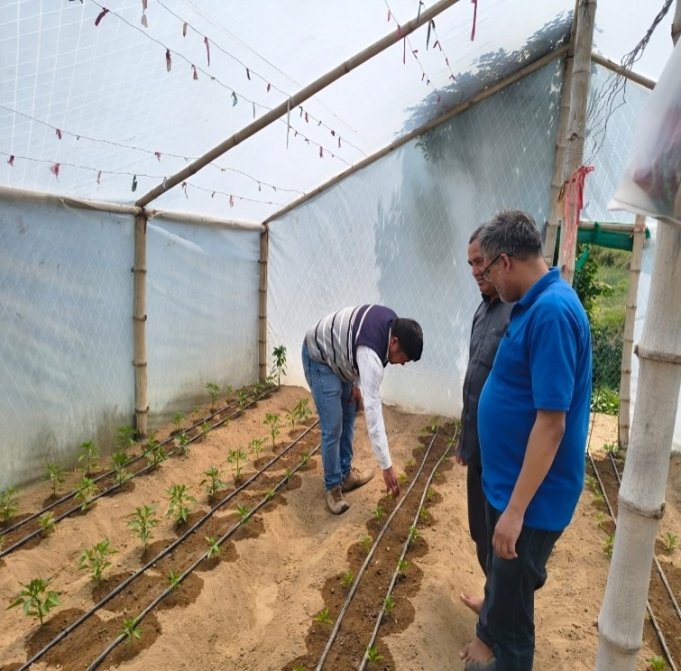 Climate-Resilient Polyhouse Farming